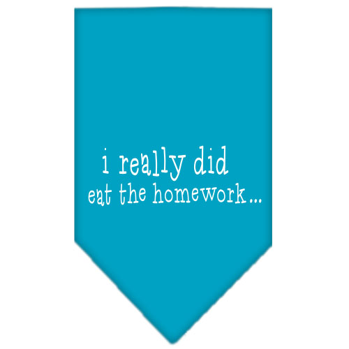 I really did eat the Homework Screen Print Bandana Turquoise Small